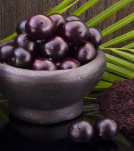 PanaSea Ingredient – Acaí Berry (euterpe oleracea)
