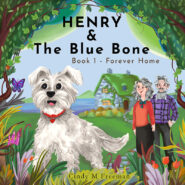 Henry and the Blue Bone   Book 1 – Forever Home